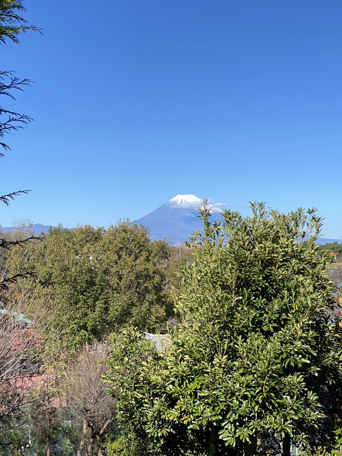 0056 xlarge HINODE WORKS 